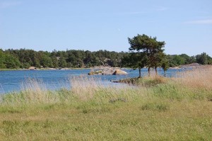 Stendörren Nationalpark