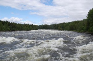 Vindelälv von der wilden Seite