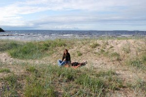 Windschutz hinter den Dünen