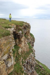 Vogelklippe in Ekkeroy
