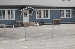 am Schatten geniessen