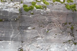 das lebensgrosse Rentier