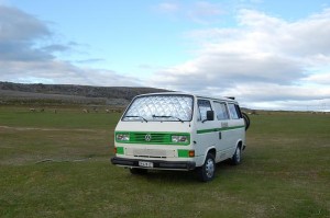 umgeben von Rentieren