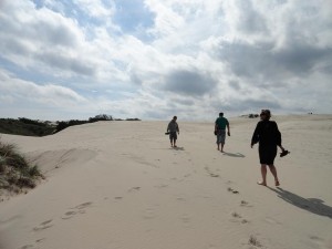 Sanddüne Rubjerg Mile